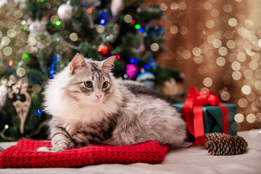 Similar image 21212911