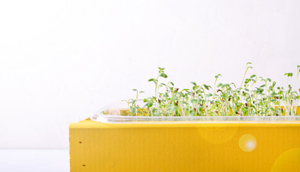 Similar image 21219583