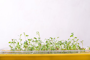 Similar image 21219624