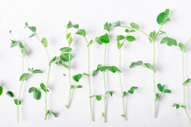 Similar image 21220767