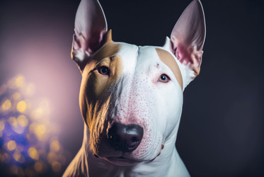 Similar image 21213561