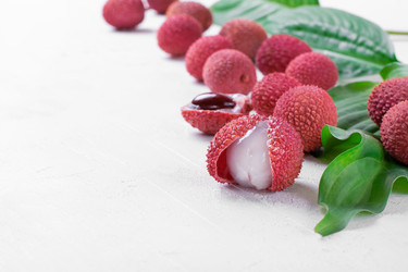 Similar image 21213349