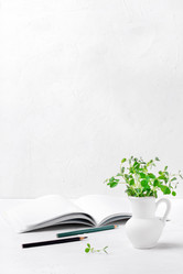 Similar image 21219590