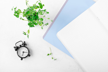 Similar image 21219591