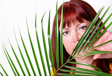 Similar image 21219657