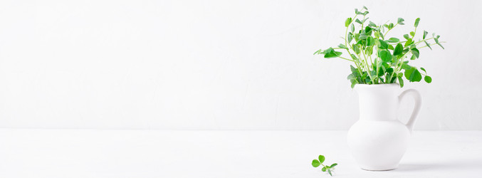 Similar image 21212943