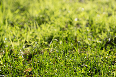 Similar image 21211212