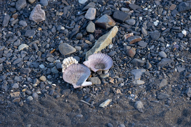 Similar image 21211227