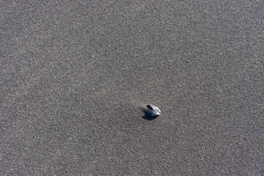 Similar image 21211228