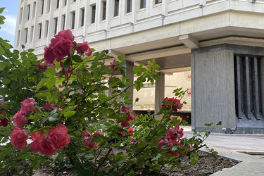 Similar image 21211233