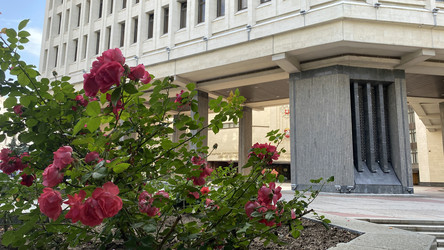 Similar image 21211234