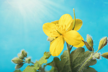 Similar image 21242526