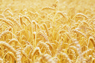 Similar image 21242531