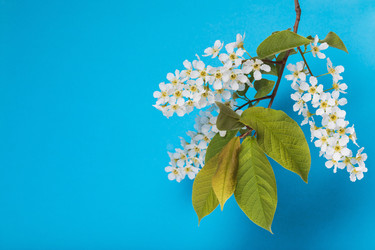 Similar image 21242552