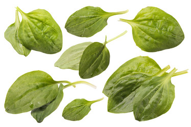 Similar image 21243299