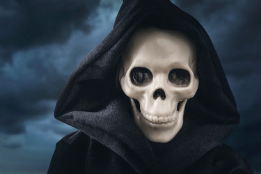 Similar image 21243301