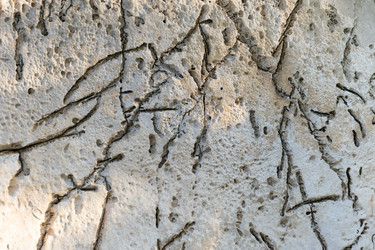 Similar image 21211266