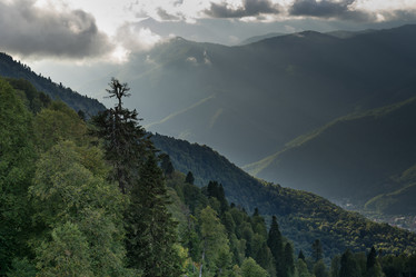 Similar image 21211268