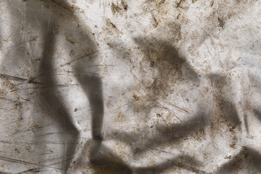 Similar image 21242296