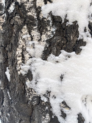 Similar image 21213595