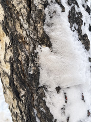 Similar image 21213596