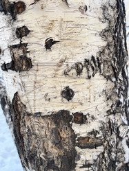 Similar image 21213600