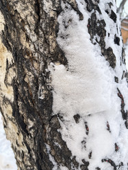 Similar image 21213601