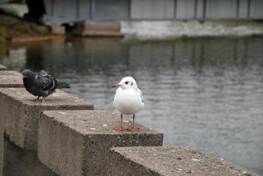 Similar image 21213877