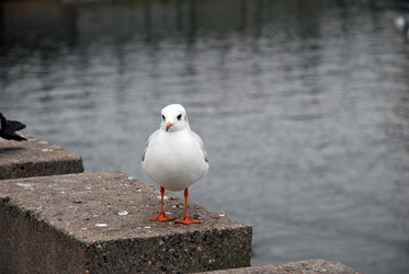 Similar image 21213878