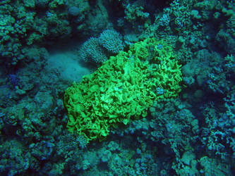 Similar image 21213885