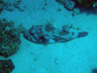 Similar image 21213886