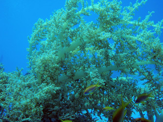 Similar image 21213887