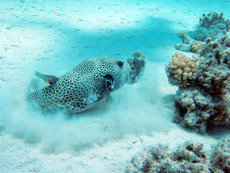 Similar image 21213889