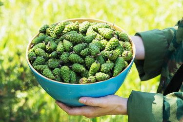 Similar image 21242592