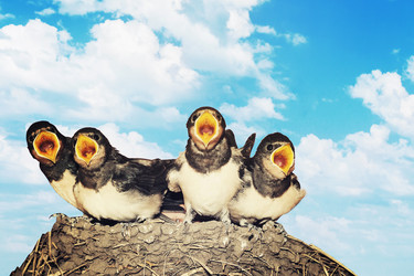 Similar image 21242613