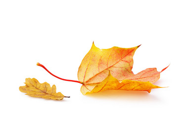 Similar image 21242616