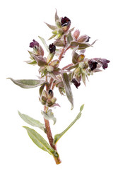 Similar image 21243330