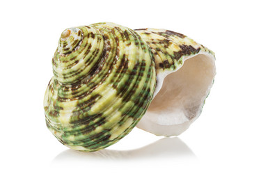 Similar image 21242654