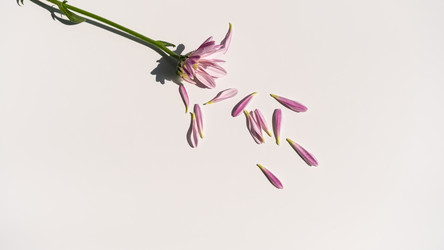 Similar image 21213023