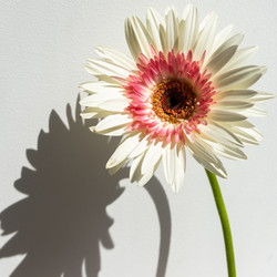 Similar image 21213024