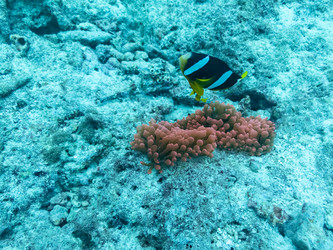 Similar image 21213025