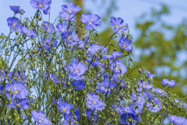 Similar image 21221870