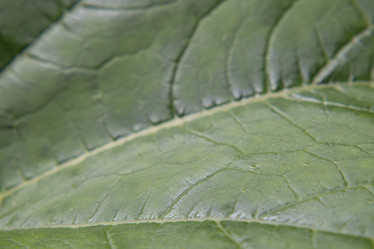 Similar image 21221829