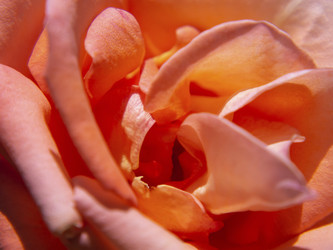 Similar image 21221830