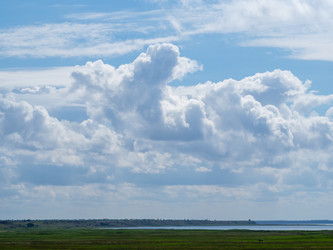 Similar image 21221833