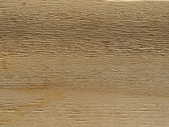 Similar image 21221836