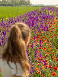 Similar image 21221837