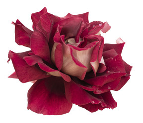 Similar image 21221838