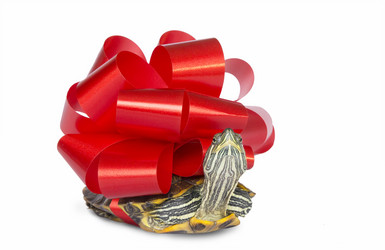 Similar image 21213605