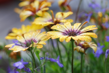 Similar image 21222542